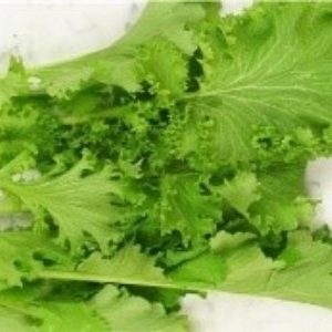 Wasabi Mustard Wasabi Mustard